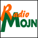 Lille overskud i Radio Mojn