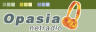 Opasia Netradio nedlægges i dag